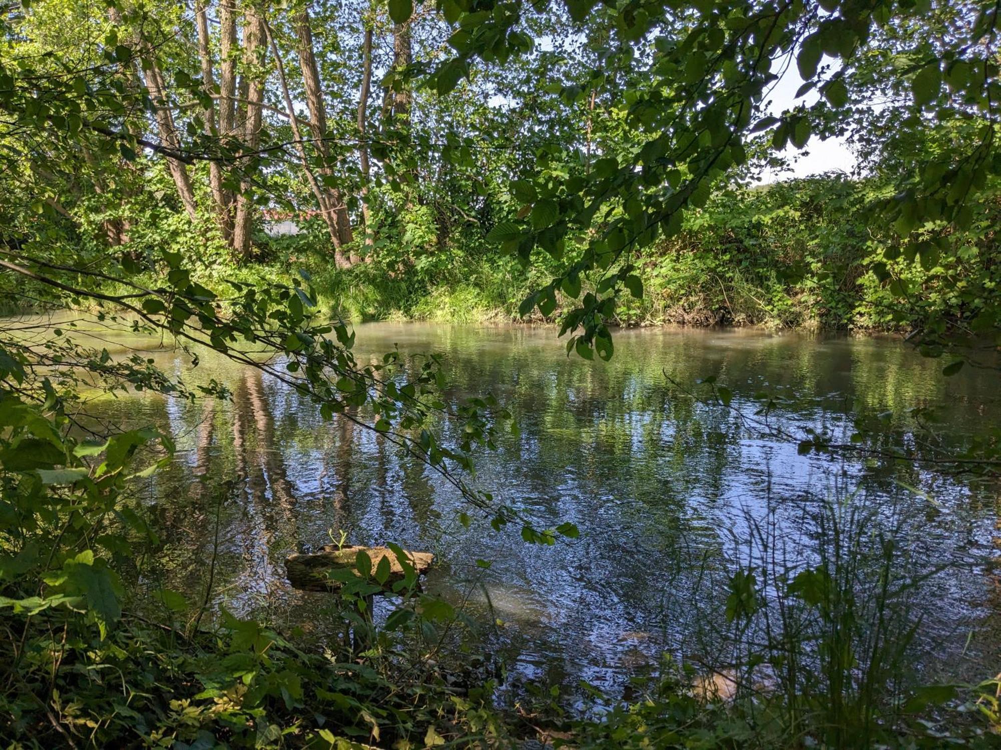 Badischer Neubau-Ruhe-Kunst-Natur Rheinau Exterior foto