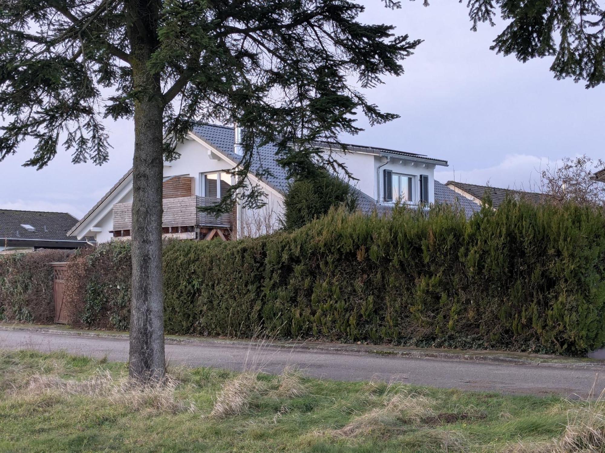 Badischer Neubau-Ruhe-Kunst-Natur Rheinau Exterior foto